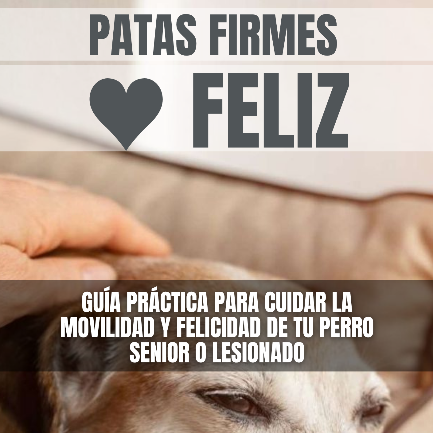 EBOOK: Patas Firmes 🖤 Felíz - Guía Práctica para cuidár a tu perrito viejito
