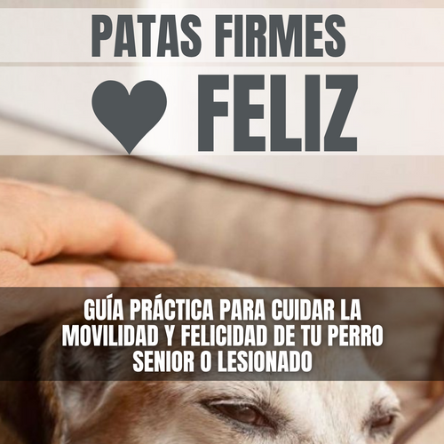 EBOOK: Patas Firmes 🖤 Felíz - Guía Práctica para cuidár a tu perrito viejito